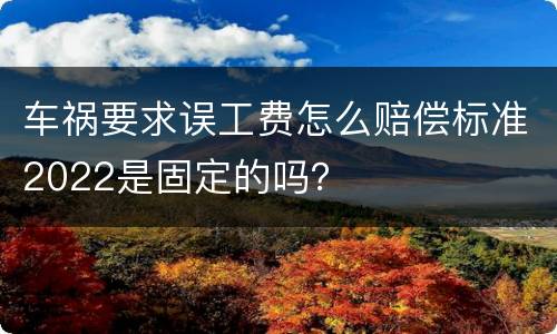 车祸要求误工费怎么赔偿标准2022是固定的吗？