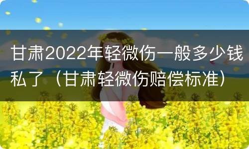 甘肃2022年轻微伤一般多少钱私了（甘肃轻微伤赔偿标准）