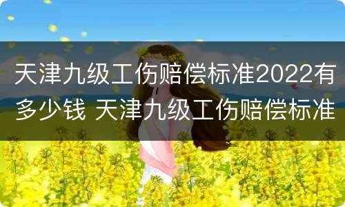 天津九级工伤赔偿标准2022有多少钱 天津九级工伤赔偿标准2022有多少钱啊