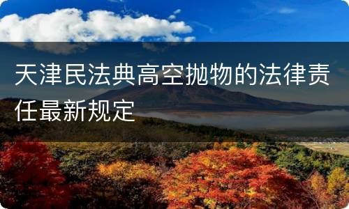 天津民法典高空抛物的法律责任最新规定