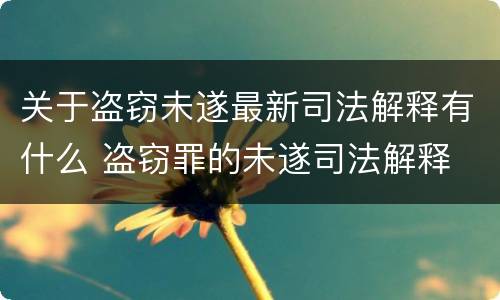 关于盗窃未遂最新司法解释有什么 盗窃罪的未遂司法解释