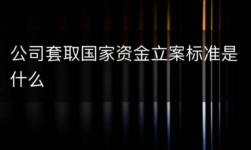 公司套取国家资金立案标准是什么