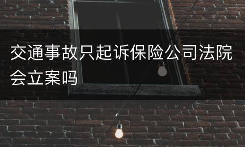 交通事故只起诉保险公司法院会立案吗