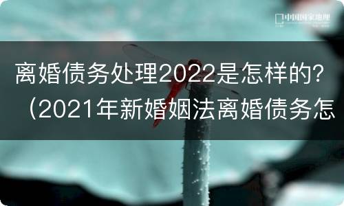 离婚债务处理2022是怎样的？（2021年新婚姻法离婚债务怎么分）