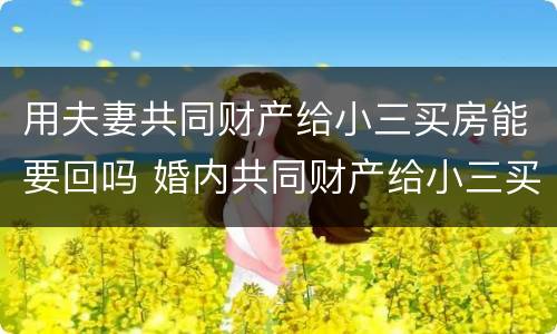 用夫妻共同财产给小三买房能要回吗 婚内共同财产给小三买房