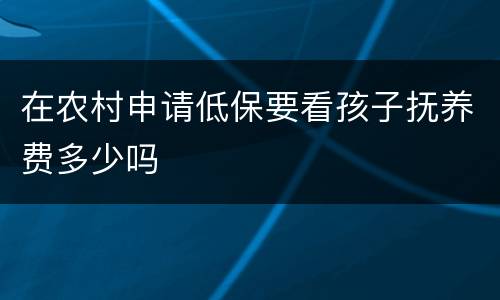 在农村申请低保要看孩子抚养费多少吗