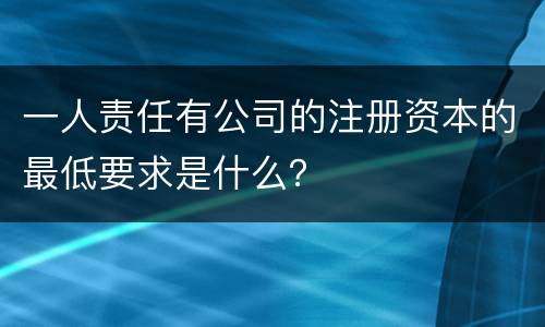 一人责任有公司的注册资本的最低要求是什么？