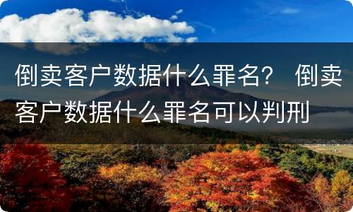 倒卖客户数据什么罪名？ 倒卖客户数据什么罪名可以判刑