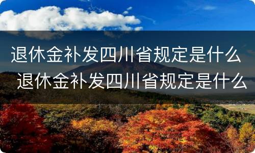 退休金补发四川省规定是什么 退休金补发四川省规定是什么意思