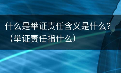 什么是举证责任含义是什么？（举证责任指什么）