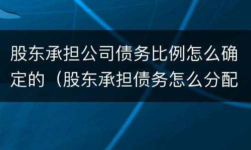 股东承担公司债务比例怎么确定的（股东承担债务怎么分配）