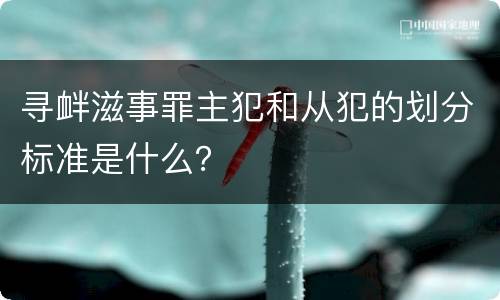 寻衅滋事罪主犯和从犯的划分标准是什么？