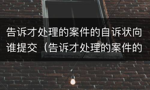 告诉才处理的案件的自诉状向谁提交（告诉才处理的案件的自诉状向谁提交申请）