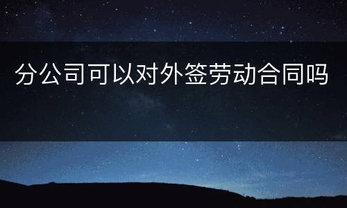 分公司可以对外签劳动合同吗