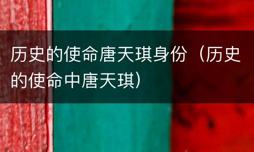 历史的使命唐天琪身份（历史的使命中唐天琪）