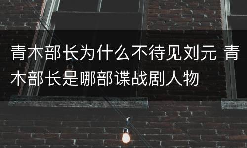 青木部长为什么不待见刘元 青木部长是哪部谍战剧人物