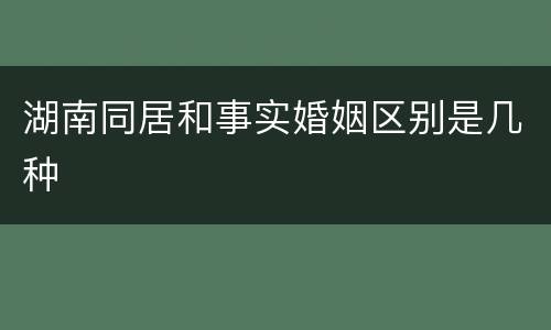 湖南同居和事实婚姻区别是几种