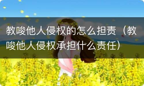 教唆他人侵权的怎么担责（教唆他人侵权承担什么责任）