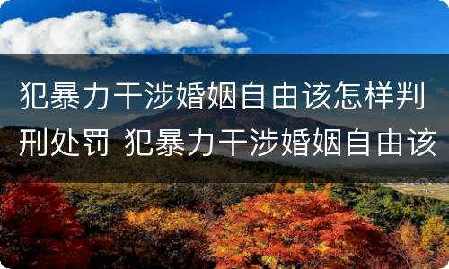 犯暴力干涉婚姻自由该怎样判刑处罚 犯暴力干涉婚姻自由该怎样判刑处罚