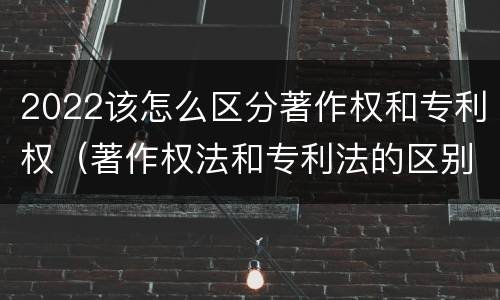 2022该怎么区分著作权和专利权（著作权法和专利法的区别）