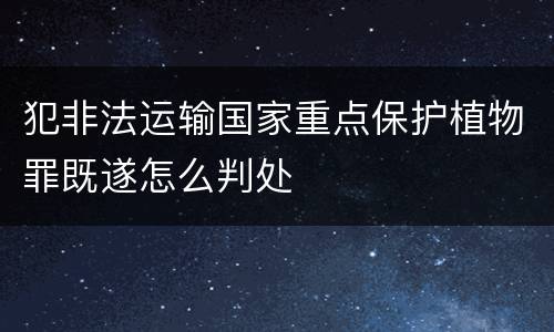 犯非法运输国家重点保护植物罪既遂怎么判处