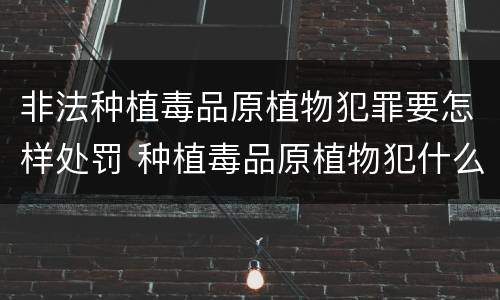 非法种植毒品原植物犯罪要怎样处罚 种植毒品原植物犯什么罪