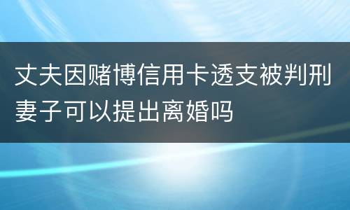 丈夫因赌博信用卡透支被判刑妻子可以提出离婚吗