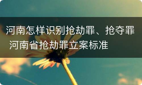 河南怎样识别抢劫罪、抢夺罪 河南省抢劫罪立案标准