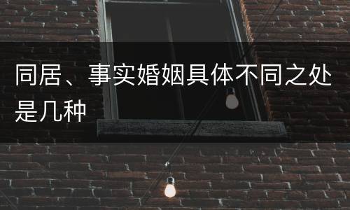 同居、事实婚姻具体不同之处是几种