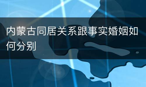 内蒙古同居关系跟事实婚姻如何分别