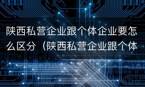 陕西私营企业跟个体企业要怎么区分（陕西私营企业跟个体企业要怎么区分呢）