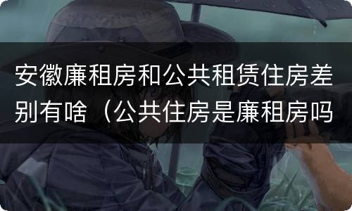 安徽廉租房和公共租赁住房差别有啥（公共住房是廉租房吗）