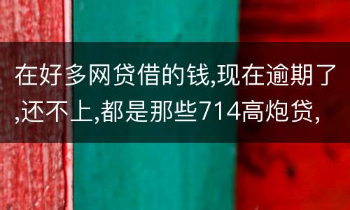 在好多网贷借的钱,现在逾期了,还不上,都是那些714高炮贷,征信上也没有