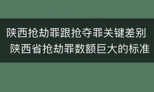 陕西抢劫罪跟抢夺罪关键差别 陕西省抢劫罪数额巨大的标准