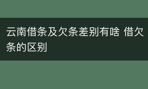 云南借条及欠条差别有啥 借欠条的区别