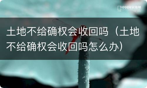 土地不给确权会收回吗（土地不给确权会收回吗怎么办）