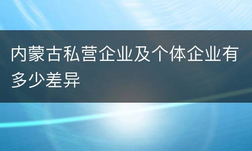 内蒙古私营企业及个体企业有多少差异