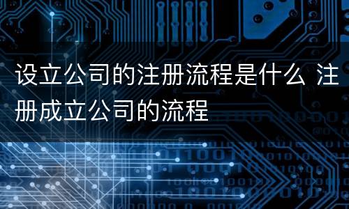 设立公司的注册流程是什么 注册成立公司的流程