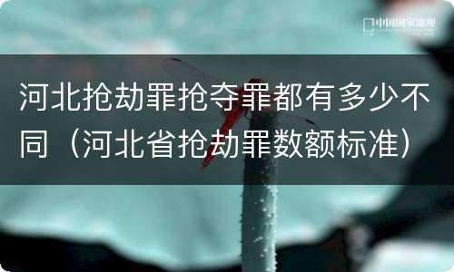 河北抢劫罪抢夺罪都有多少不同（河北省抢劫罪数额标准）