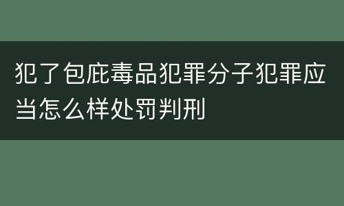 犯了包庇毒品犯罪分子犯罪应当怎么样处罚判刑