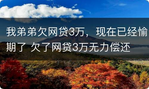 我弟弟欠网贷3万，现在已经愉期了 欠了网贷3万无力偿还