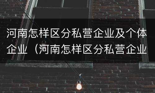 河南怎样区分私营企业及个体企业（河南怎样区分私营企业及个体企业呢）