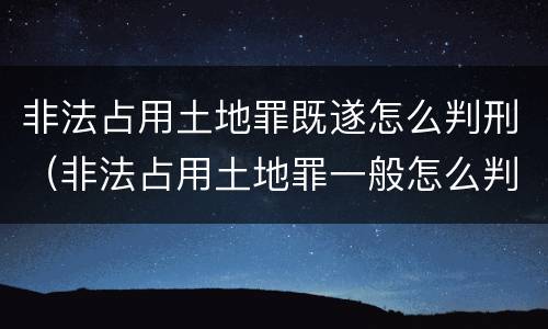 非法占用土地罪既遂怎么判刑（非法占用土地罪一般怎么判决）