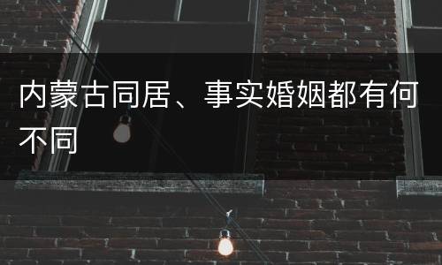 内蒙古同居、事实婚姻都有何不同