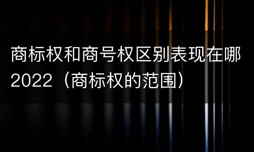 商标权和商号权区别表现在哪2022（商标权的范围）