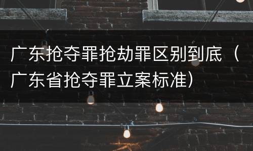 广东抢夺罪抢劫罪区别到底（广东省抢夺罪立案标准）