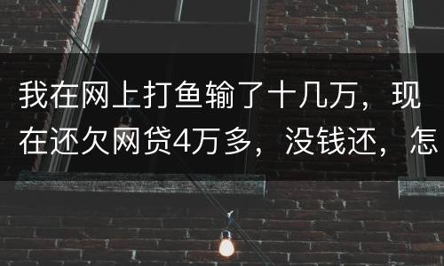 我在网上打鱼输了十几万，现在还欠网贷4万多，没钱还，怎么办