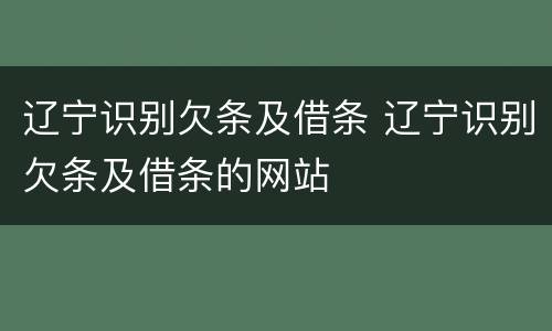 辽宁识别欠条及借条 辽宁识别欠条及借条的网站