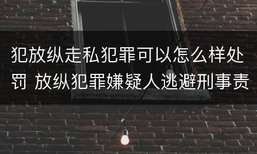 犯放纵走私犯罪可以怎么样处罚 放纵犯罪嫌疑人逃避刑事责任