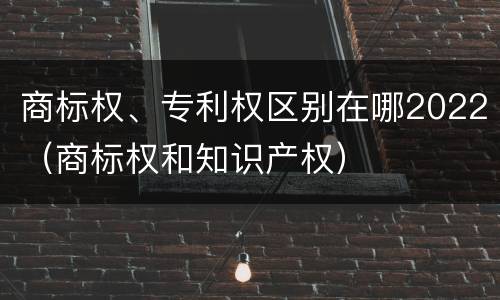 商标权、专利权区别在哪2022（商标权和知识产权）